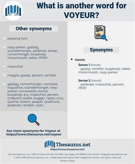 voyeur synonym|4 Synonyms & Antonyms for VOYEUR .